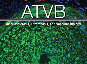 ATVB Journal cover