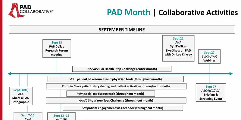 Screen shot of Power Point PAD Month collaborative activities expanded