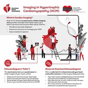 Imaging_in_HCM_Picture