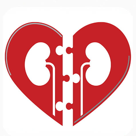 The Link between CKD and CVD - Professional Heart Daily