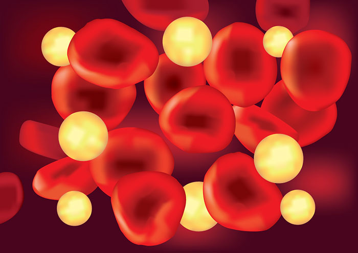 Blood cells illustration