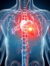 Futuristic graphic representation of the human heart and its vessel system