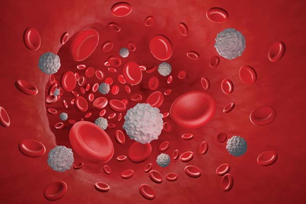 White and red blood cells 3D illustration White and red blood cells 3D illustration