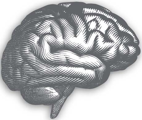 Black and white drawing of human brain