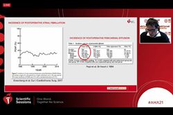 Still shot from Mario Gaudino's live presentation