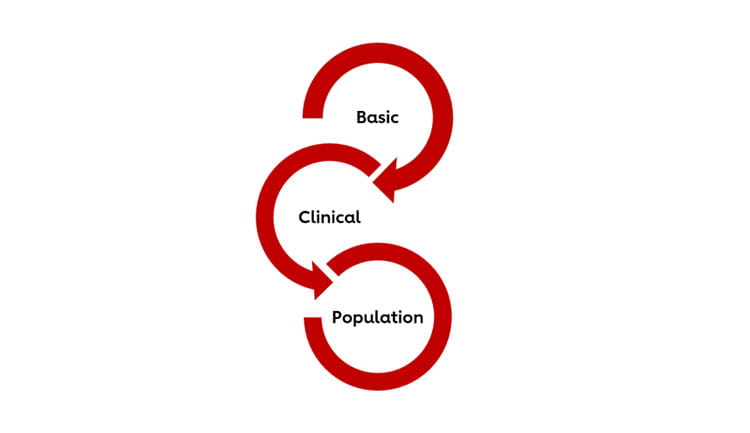 Graphic showing the relationship between Basic, Clinical, and Population sciences.
