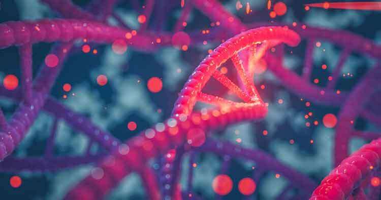 Illustration of DNA chains and components