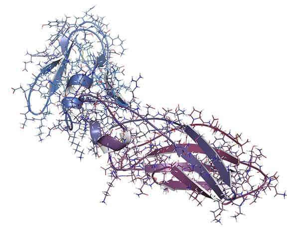 Medical illustration of protein found in tissue
