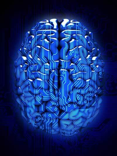 Stylized image of a brain with circuitry overlay