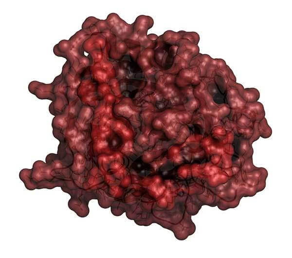 Image of thrombotin blood clotting platelet