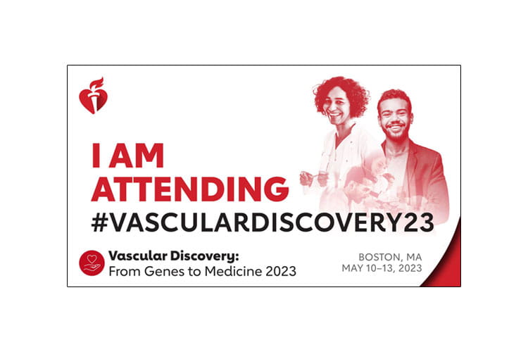 I am attending #VascularDiscovery23. Vascular Discovery: From Genes to Medicine 2023. Boston, MA, May 10-13, 2023