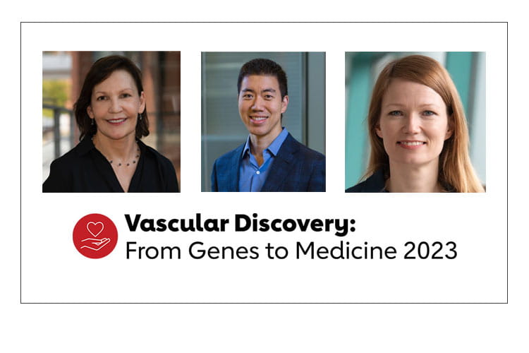 Vascular Discovery: from Genes to Medicine 2023. Photos of Keynote Lecturer Karen Hirschi, and invited speakers David Liu and Minna Kaikkonen-Maatta.