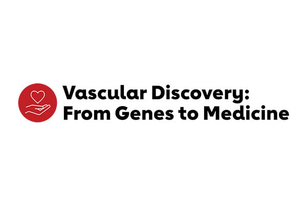 Vascular Discovery Promo
