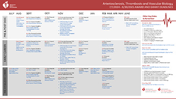 Thumbnail version of 2024-2025 Life of ATVB PDF doument. Accessible version available at https://professional.heart.org/en/professional-membership/scientific-councils/atvb/early-career/professional-opportunities