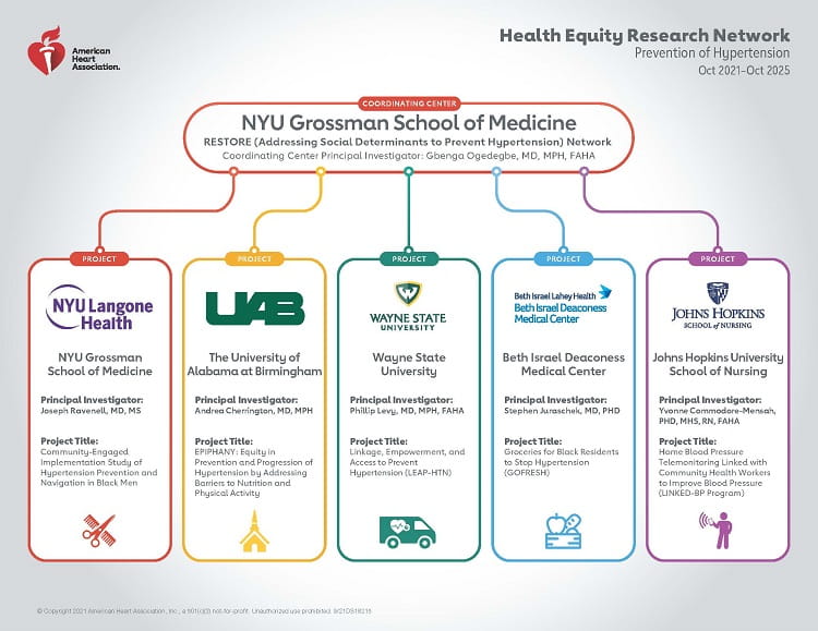 Illustration of HERN Hypertension Projects with university logos