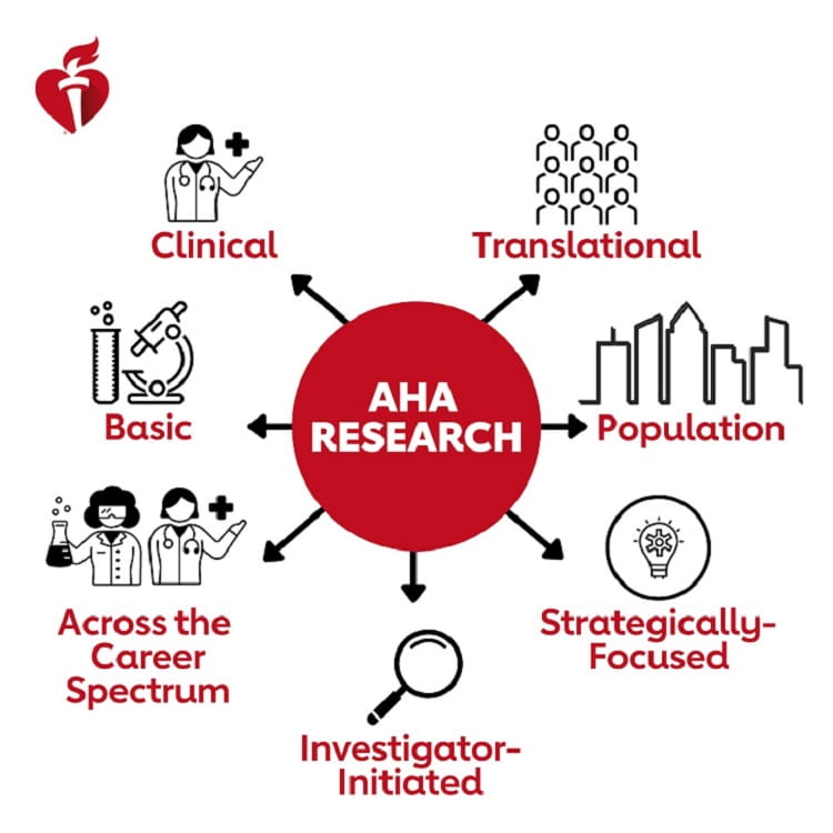 Wheel with "AHA Research" in center and spikes to graphic images for clinical, translational, population, basic, strategically focused, across the career spectrum, and investigator-initiated 