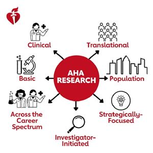Wheel with "AHA Research" in center and spikes to graphic images for clinical, translational, population, basic, strategically focused, across the career spectrum, and investigator-initiated 