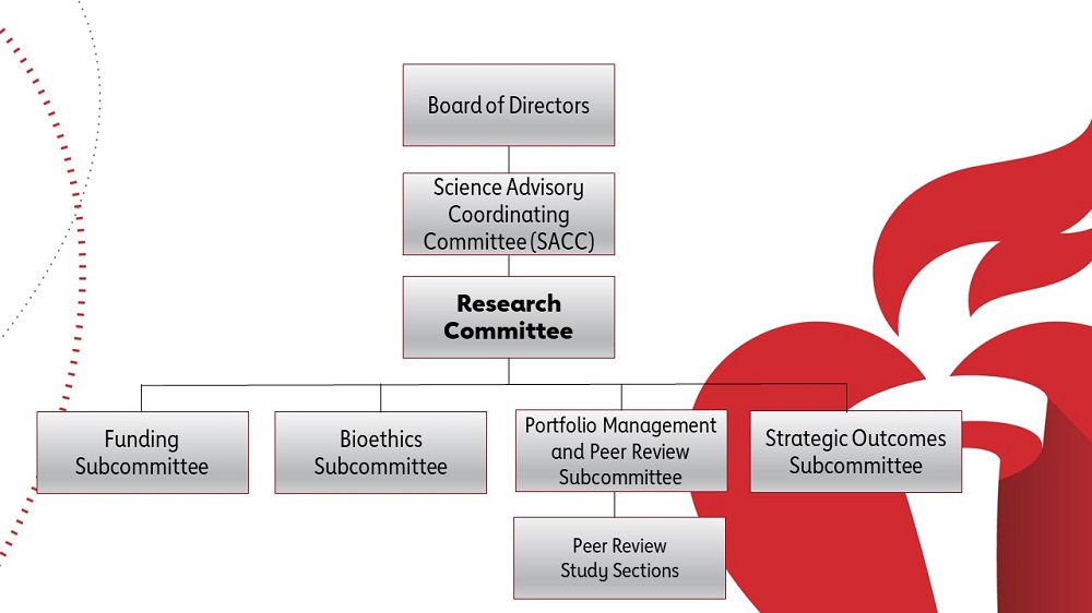Illustration of Research Committee chart of organization