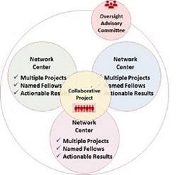 Decorative Illustration