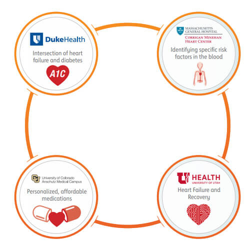Heart Failure Collaboration Circles