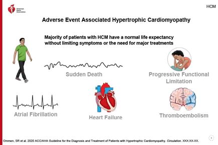 2020 AHA/ACC Guideline For The Diagnosis And Treatment Of Patients With ...