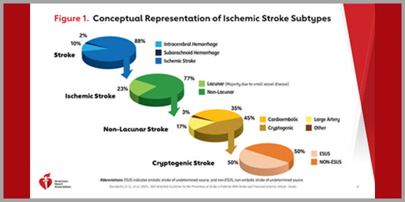 Screen from the 2021 Prevention of Stroke Clinical Update Slides