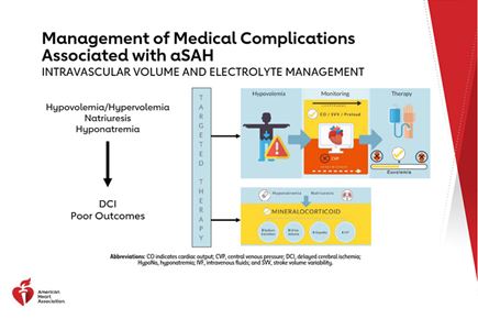 Slide from the AHA Clinical Update: 2023 Guideline for the Management of Patients With Aneurysmal Subarachnoid Hemorrhage Slide Set