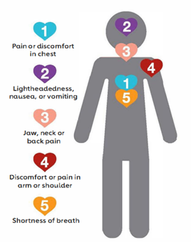 Gray body figure with colored heart indicating 5 signs or symptoms of ACS: 1. Pain or discomfort in chest; 2. Lightheadedness, nausea, or vomiting; 3. Jaw, neck or back pain; 4. Discomfort or pain in arm or shoulder; 5. Shortness of breath