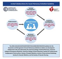 Acute Pulmonary Embolism Collaborator Infographic 