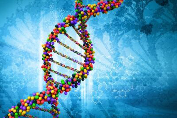 Colorful strand of DNA on a blue background