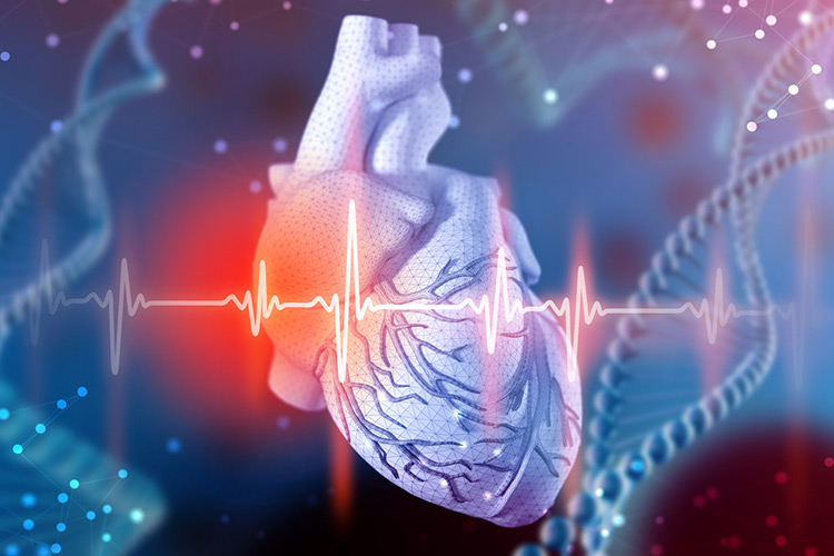 3d illustration of human heart and cardiogram on futuristic blue background