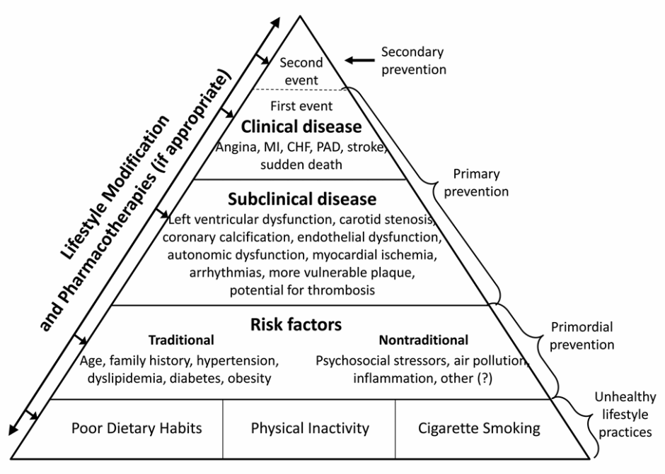 Figure 2 Lifestyle Modification and Pharmacotherapies