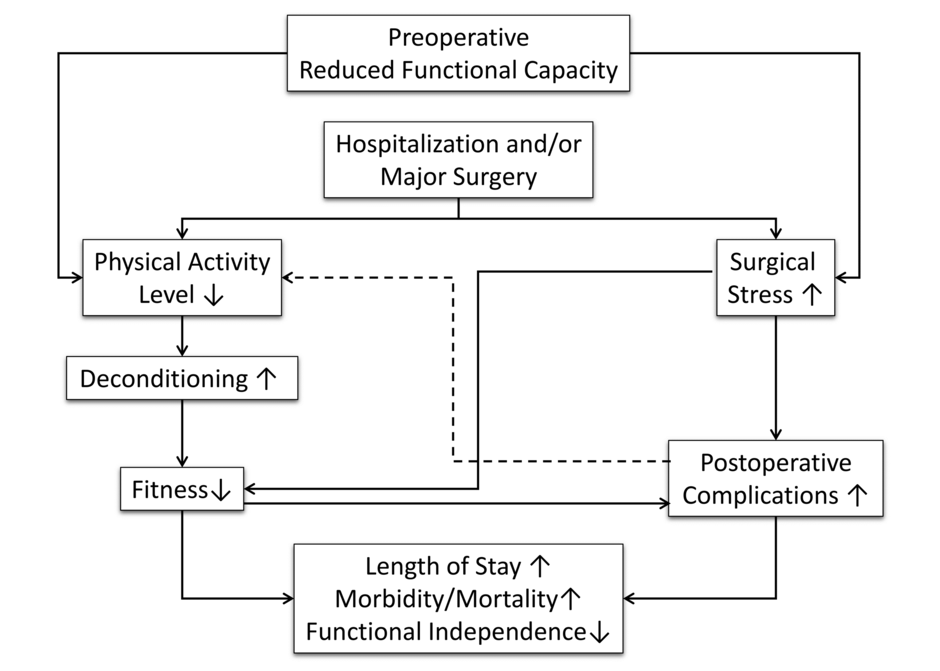 Figure 1. Potential impact of major surgery/hospitalization in patients with a reduced preoperative functional capacity and the associated sequelae. Reprinted with permission from Dronkers JJ.18 