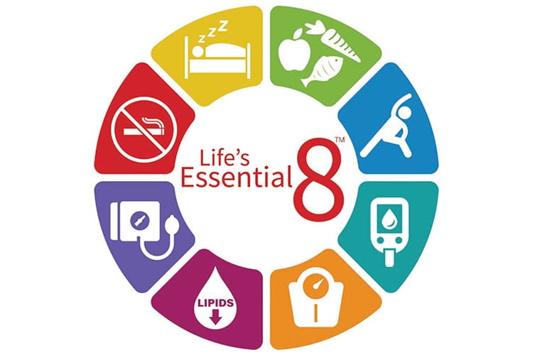 Life’s Essential 8 includes the 8 components of cardiovascular health: healthy diet, participation in physical activity, avoidance of nicotine, healthy sleep, healthy weight, and healthy levels of blood lipids, blood glucose, and blood pressure.