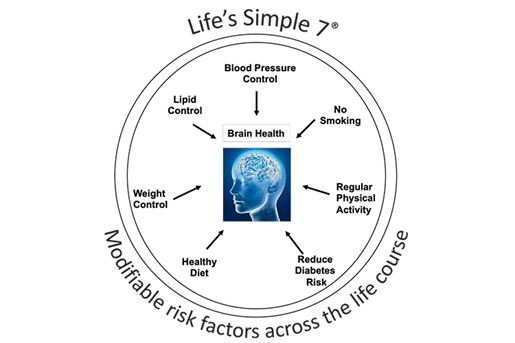 Figure. Life’s Simple 7, as described in Lloyd-Jones et al and later in Gorelick, et al.