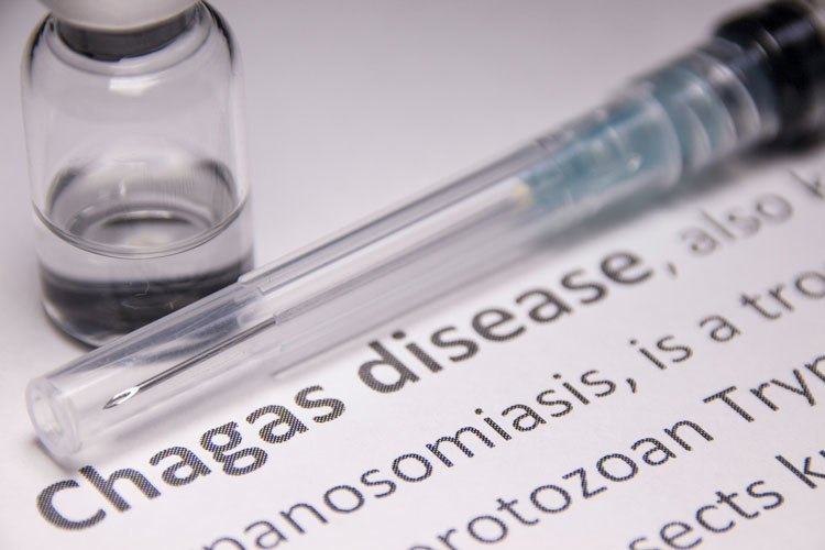 The words chagas disease with a syringe