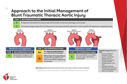 2022 ACC/AHA Guideline For The Diagnosis And Management Of Aortic ...