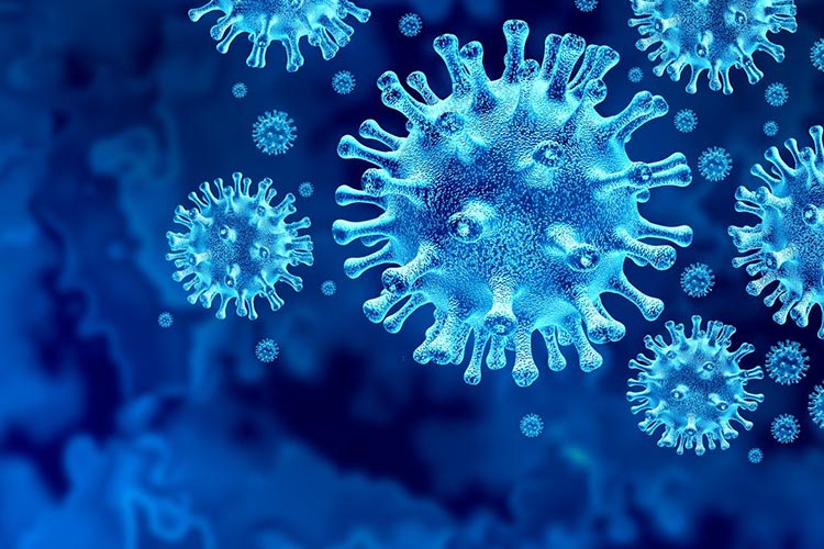 coronavirus virus outbreak