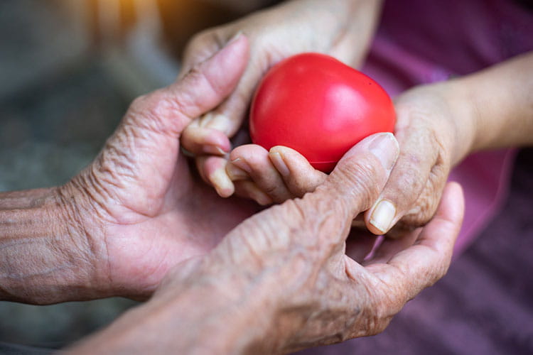 elderly hands holding onto heart shaped stress ball