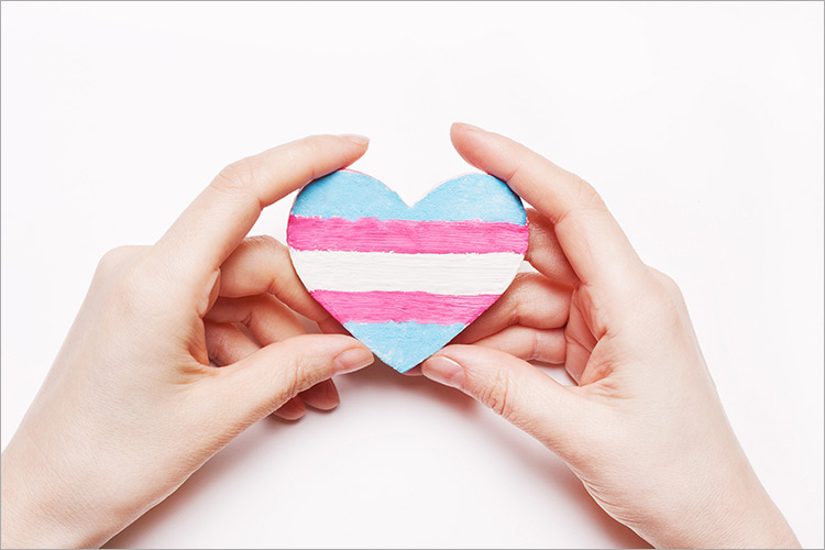 Heart color flag transgender in hand
