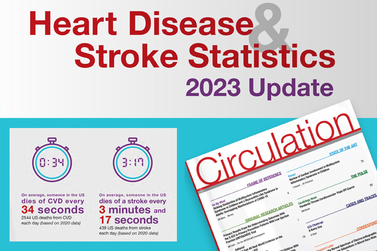 Heart Disease and Stroke Statistics—2023 Update: A Report From the