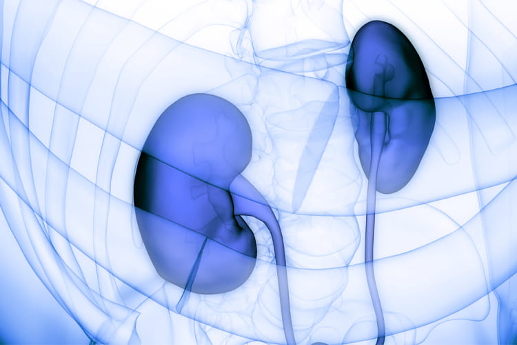 Renal Denervation for the Treatment of Hypertension Professional