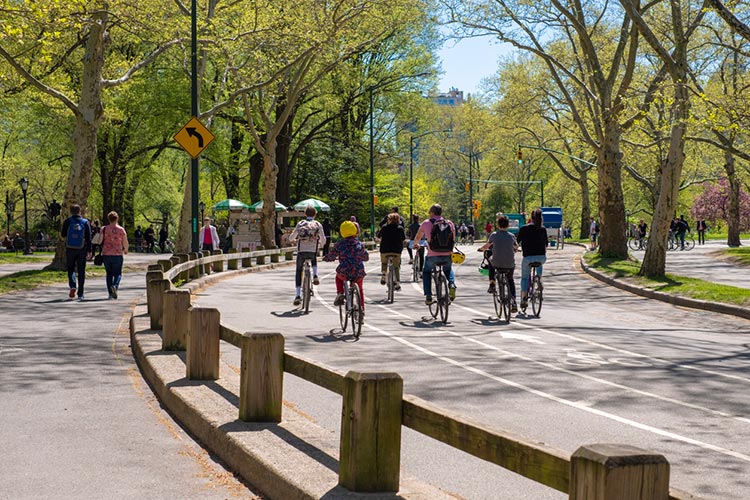 people riding bike in Central Park, New York City