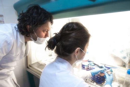Two scientists working in lab