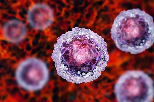 stem cells on a colorful background
