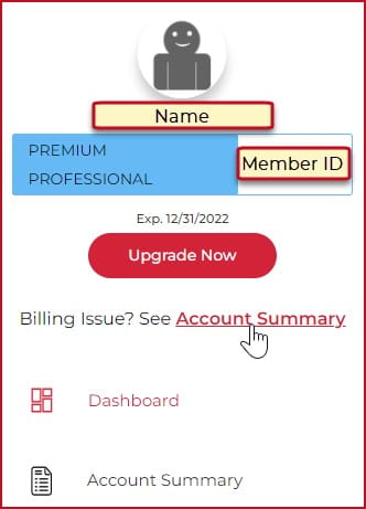 How do I pay my dues ONLINE if I am in a “billed” status Example Premium Professional
