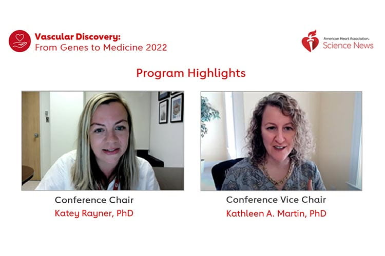 Play the Vascular Discovery 2022 Program Highlights video