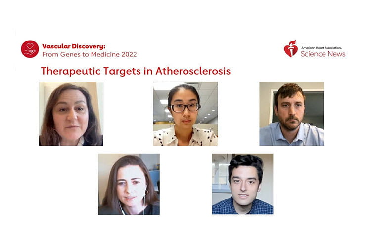Play the Therapeutic Targets in Atherosclerosis video