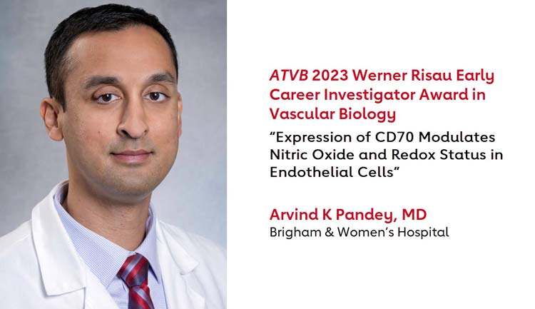 Arvind K Pandey, MD, was honored with the Werner Risau Early Career Investigator Award in Vascular Biology 2023.