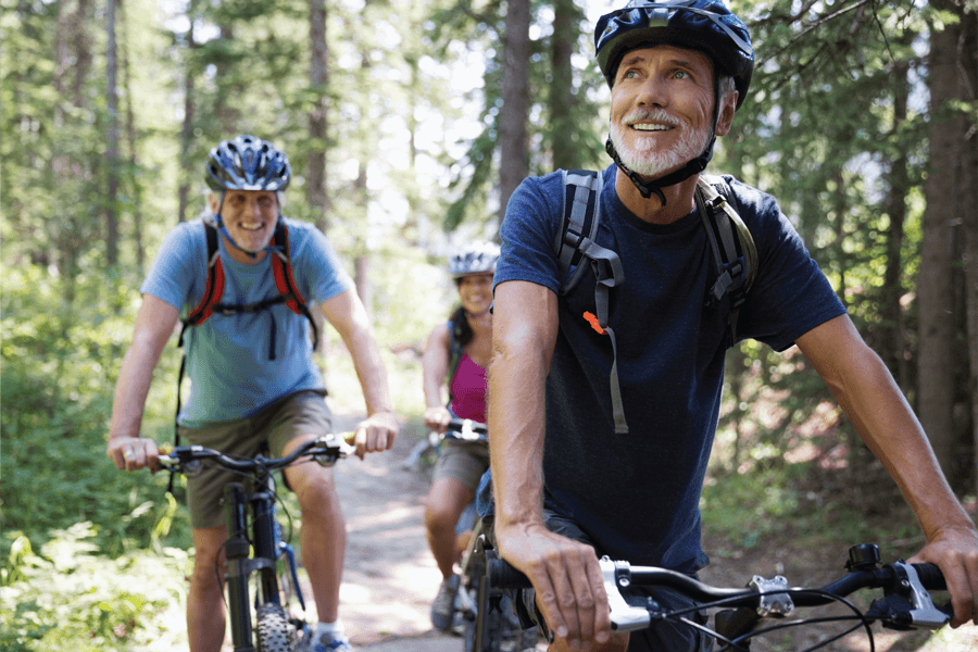 Three adult bicyclists riding through the woods